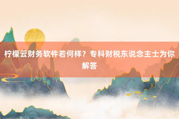 柠檬云财务软件若何样？专科财税东说念主士为你解答